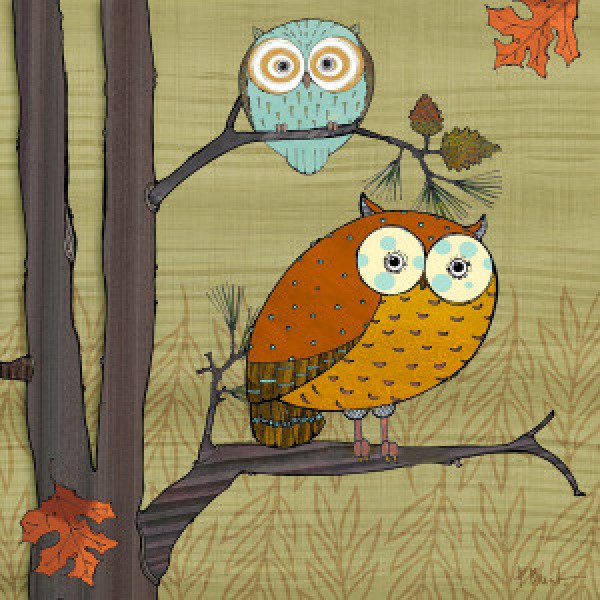 09571 Awesome Owls I