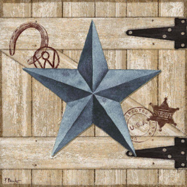 13623 Barn Star II