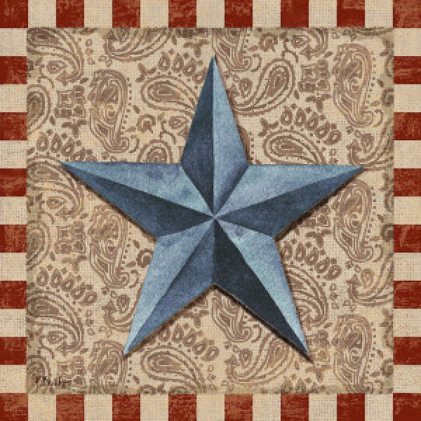 14594 Americana Barn Star II