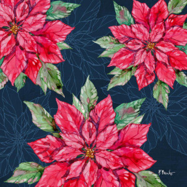 20503B Fiona Poinsettias II Navy