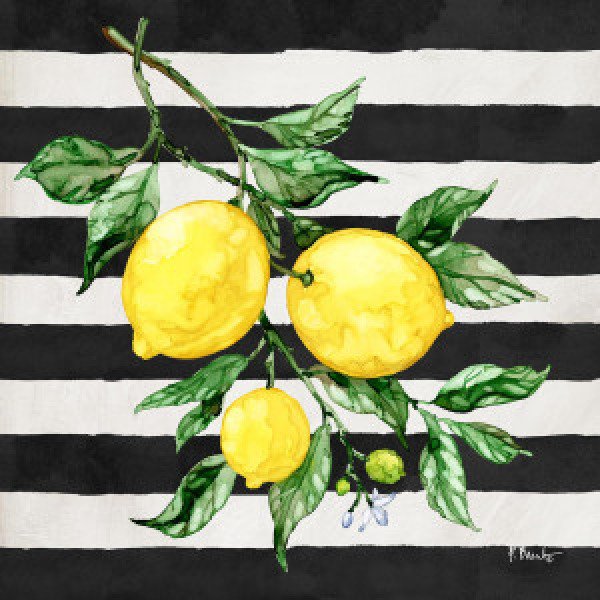 20548B Sicilian Lemons III - Stripes