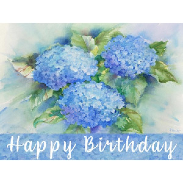 21503 Sky Blue Hydrangeas Birthday