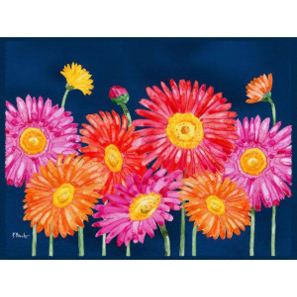 21598 Helena Daisies Horizontal I