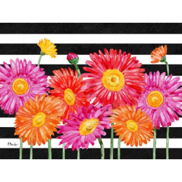 21598A Helena Daisies Horizontal I - Stripes