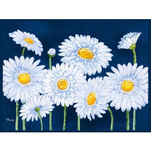 21599 Helena Daisies Horizontal II