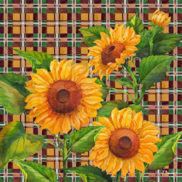 21610 Sunflower Plaid