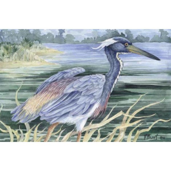 1197 Louisiana Heron