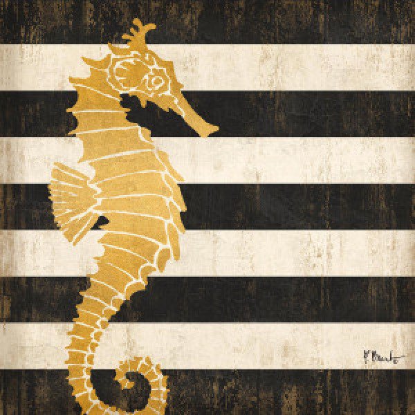 16786 Gold Coast Seahorse