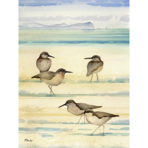 21675 Oceanside Sandpipers Vertical