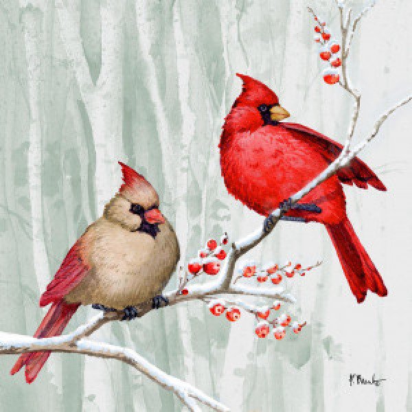 21659 Snowy Cardinals I