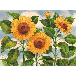 14084 Summer Sunflowers