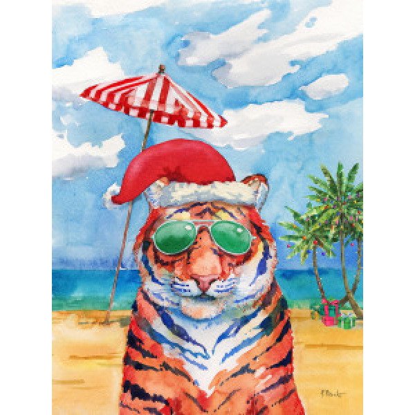 21603 Holiday Hip Shades Tiger