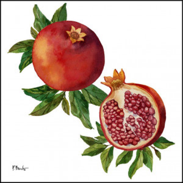 21724 Pomegranate Bunch I