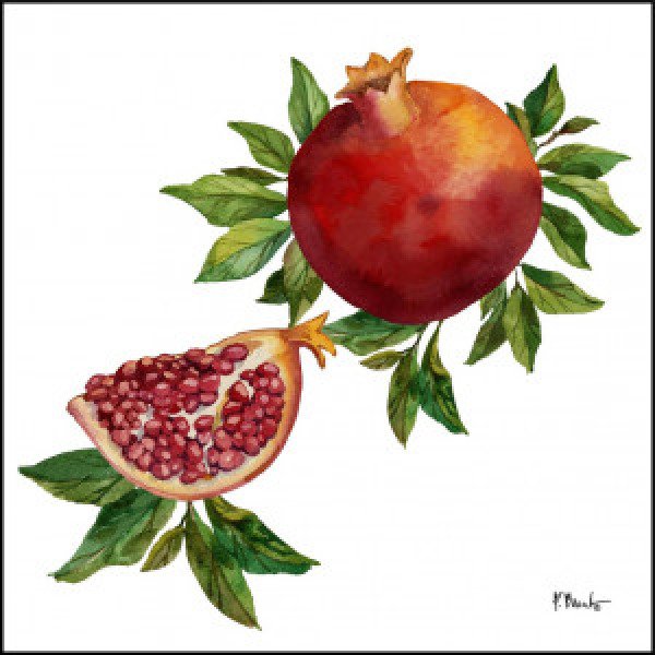 21727 Pomegranate Bunch IV