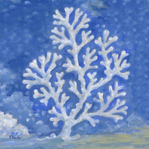 22555 Impressions of Coral III