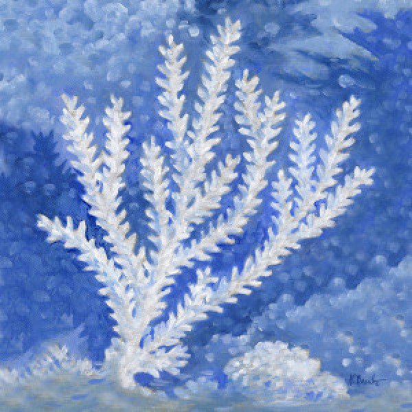 22556 Impressions of Coral IV