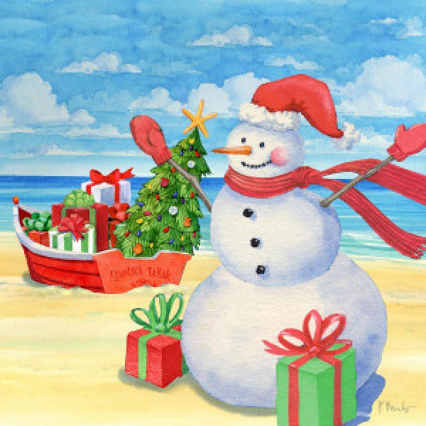 22563 Snowman Beach II