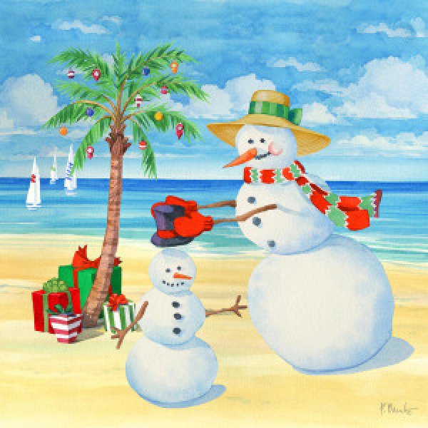 22565 Snowman Beach IV