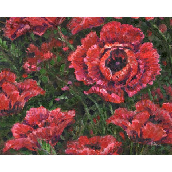 22567 Impressions of Poppies Horizontal II