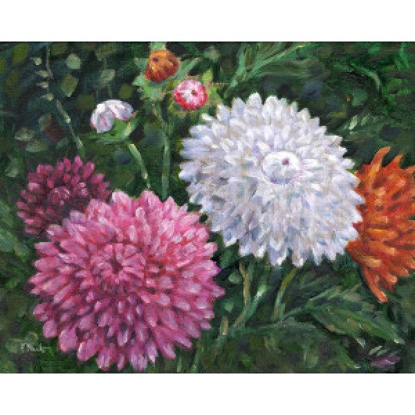 22569 Impressions of Dahlias Horizontal I