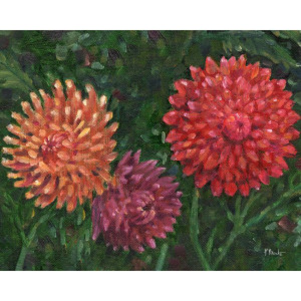 22570 Impressions of Dahlias Horizontal II