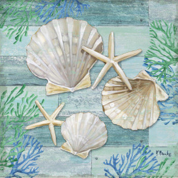 17534 Clearwater Shells IV