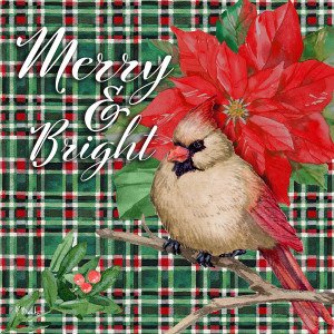 22634 Cardinal Plaid II