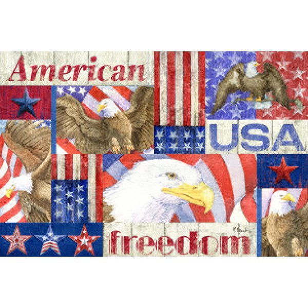 22582 Patriotic Fragments Horizontal