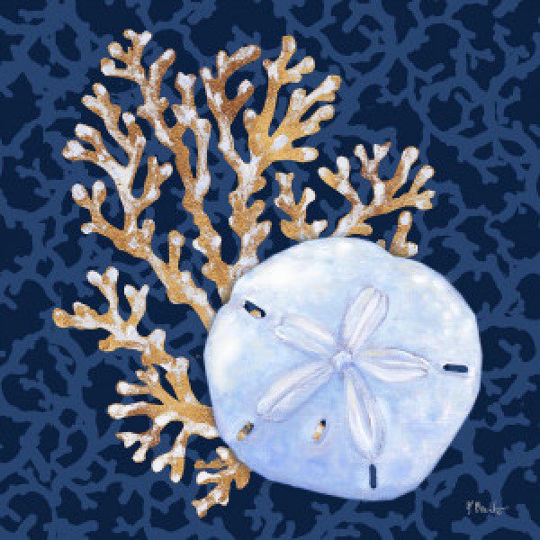 22596 Jetty Shells III