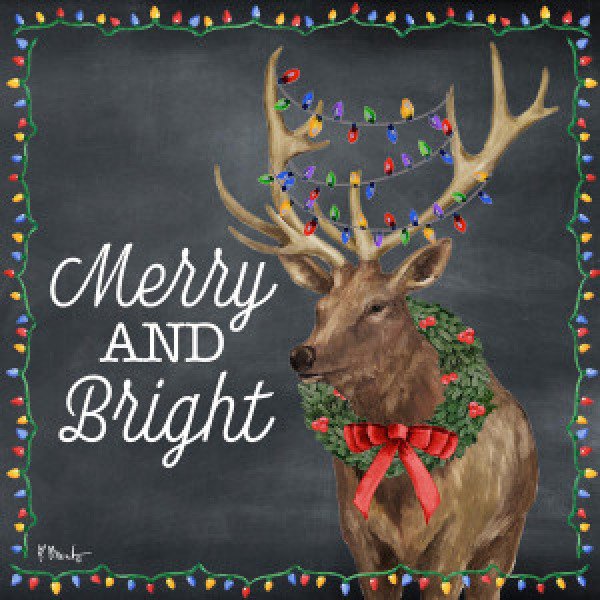 22672 Merry Lodge IV