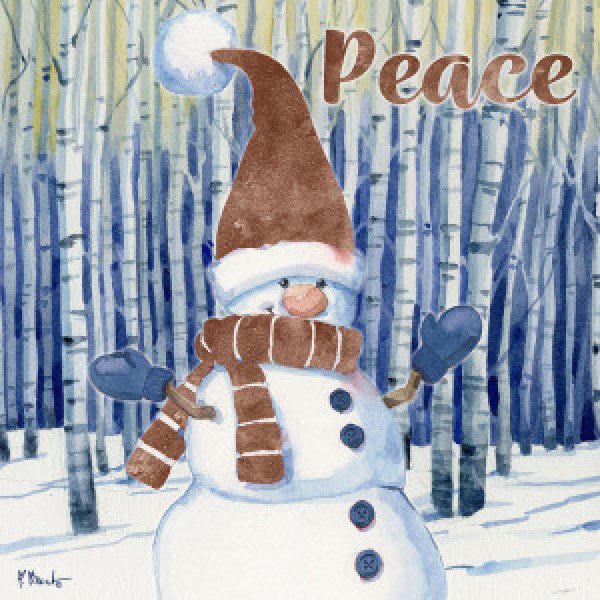 22696 Birchwood Gnome IV