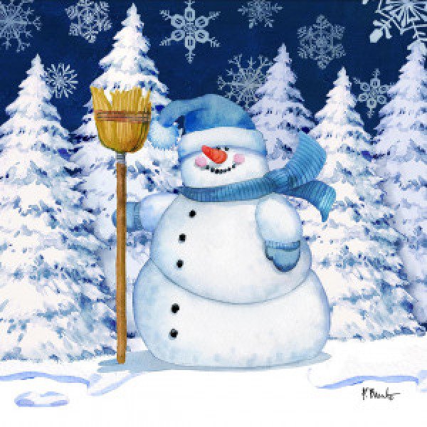 21666A Icy Snowman V - Navy