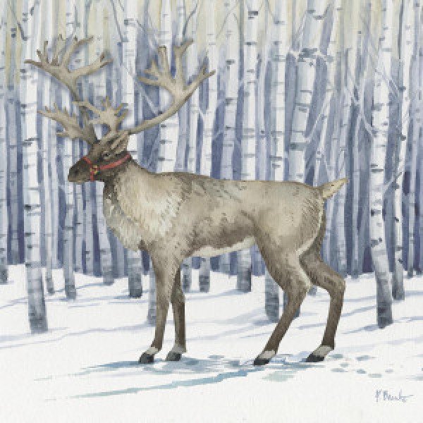 22711 Birch Reindeer II