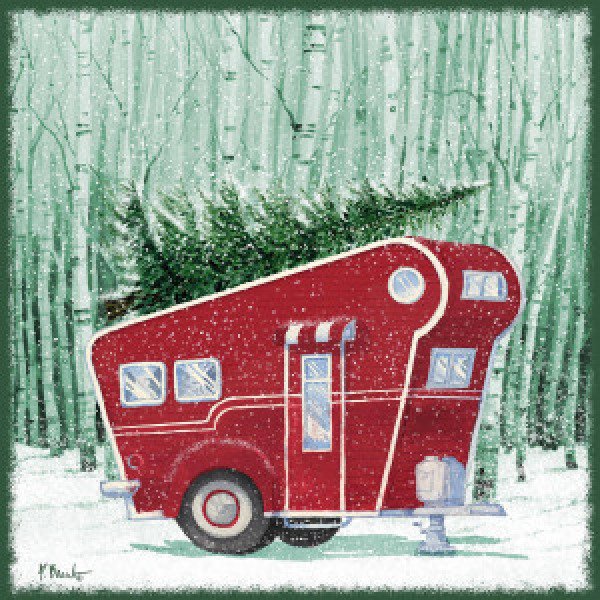 22729 Holiday Drifter V