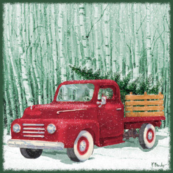 22730 Holiday Drifter VI