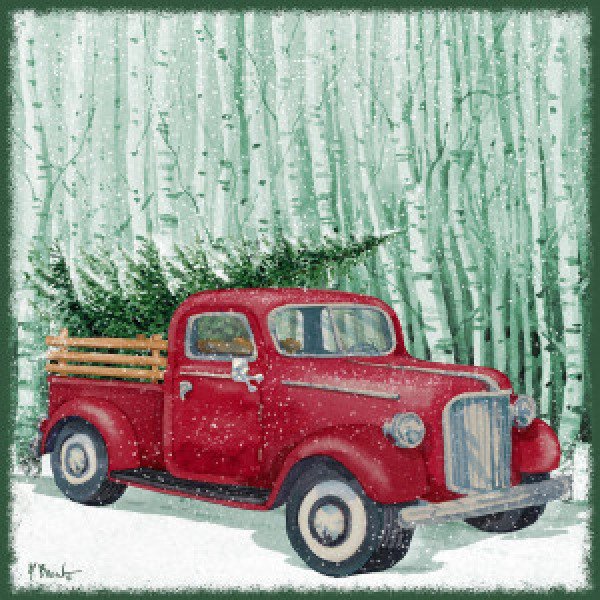 22748 Holiday Drifter IX