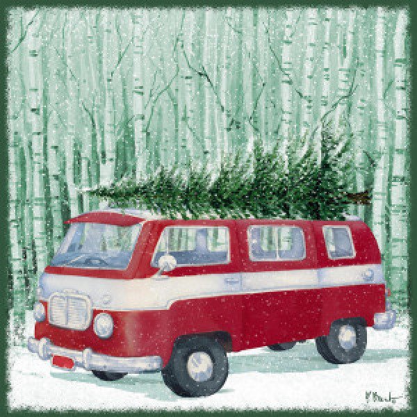 22749 Holiday Drifter X