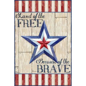 13634  Bordered Patriotic Barn Star Vertical