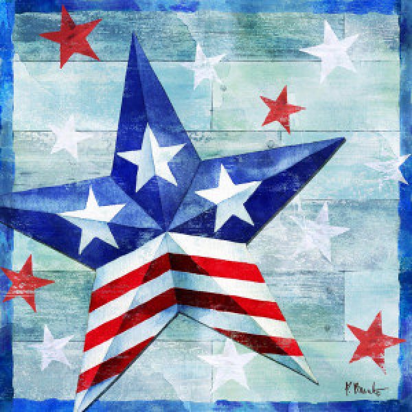 17724 Freedom Star I