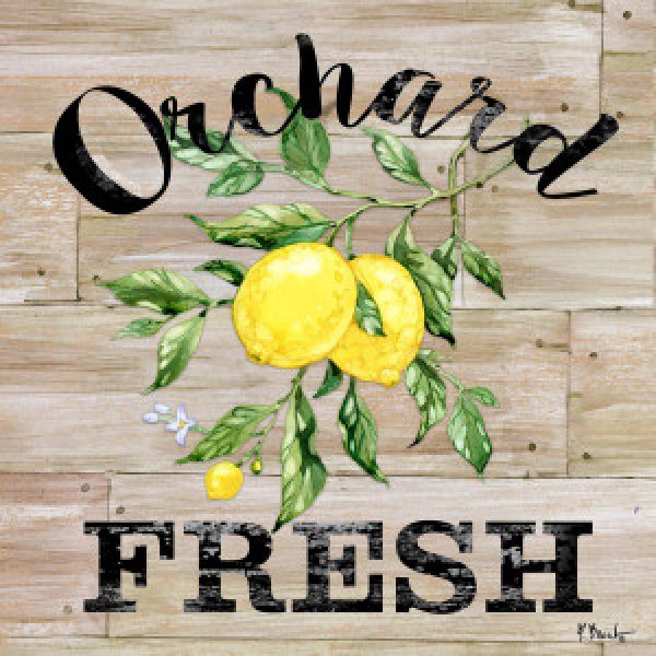 22718 Lemon Orchard II