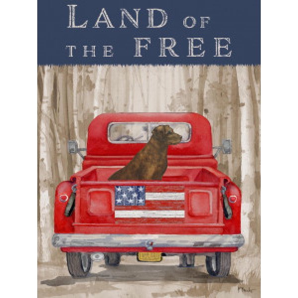 22781 Freedom Forest Truck I