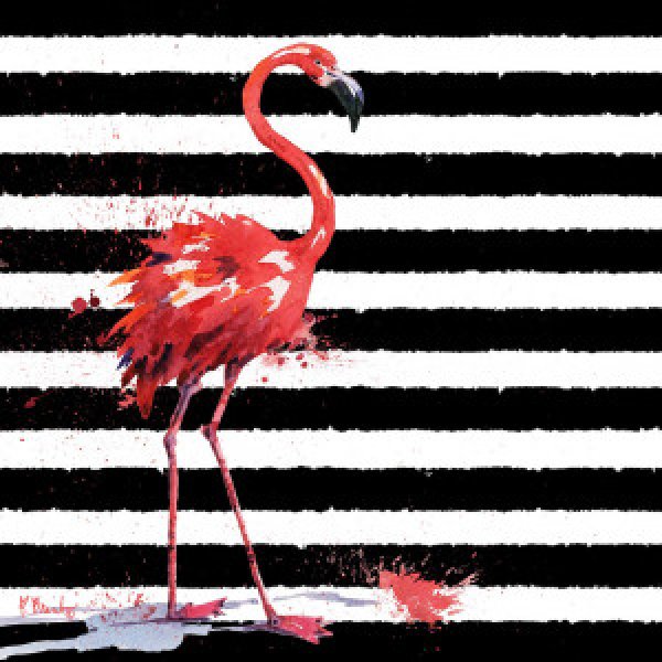 22763 Flamingo Splash I