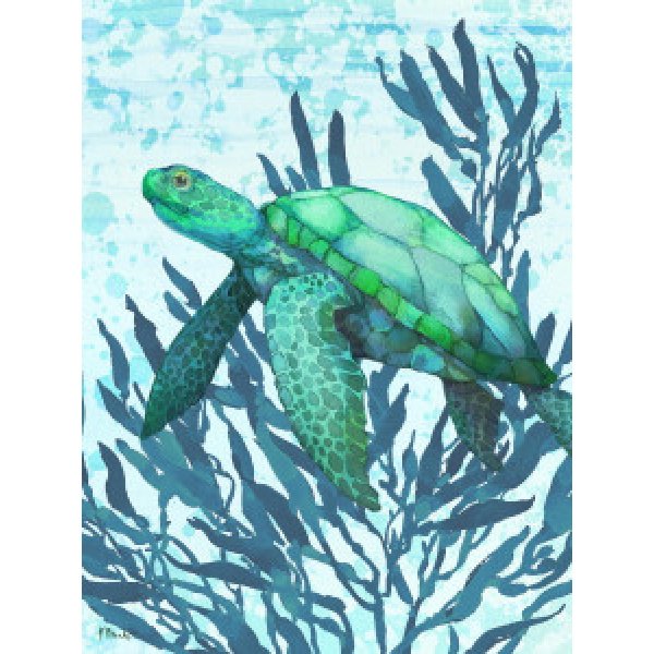 22795A Calypso Turtles Vertical II - Bright