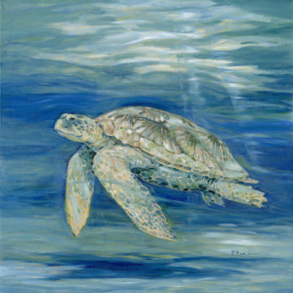 22065 Blue Lagoon Turtle