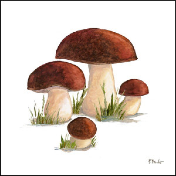 23542 Mushroom Patch I