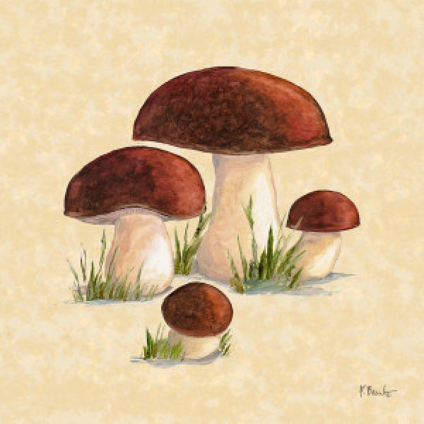 23542A Mushroom Patch I - Parchment