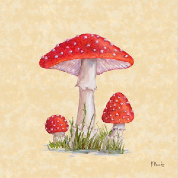 23543A Mushroom Patch II - Parchment