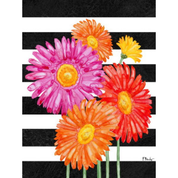 23531 Helena Daisies Vertical