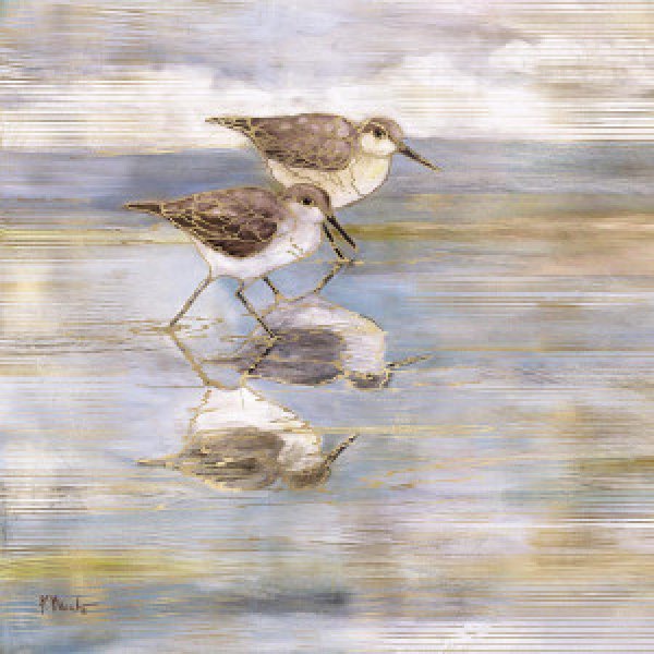 23568 Golden Sandpipers I