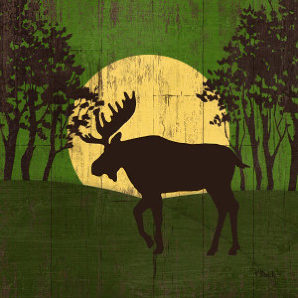 23574 Moonlight Lodge IV